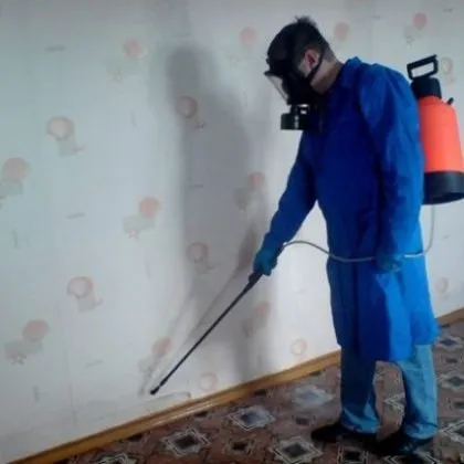 Блохи у папуг - від симптомів до лікування (блохи) Блохи у папуг - від симптомів до лікування