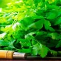 Бубновский про простатит лікування і вправи (простатиті) Бубновский про простатит лікування і вправи
