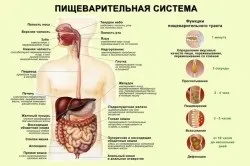 Болі в шлунку лікування народними засобами (про шлунку) Болі в шлунку лікування народними засобами