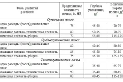Брюссельська капуста вирощування і догляд (капуста) Брюссельська капуста вирощування і догляд