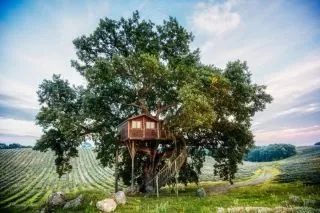 Будки-палаци для собак, вартістю до £ 170 000, вибухові новини рунета