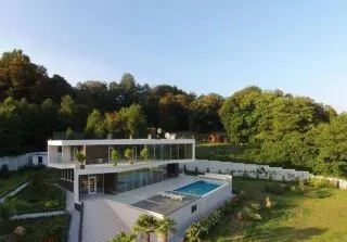 Будки-палаци для собак, вартістю до £ 170 000, вибухові новини рунета
