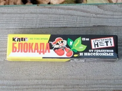 Хвороби і шкідники сливи - боротьба з ними (хвороби) Хвороби і шкідники сливи - боротьба з ними