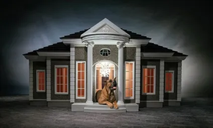 Будки-палаци для собак, вартістю до £ 170 000, вибухові новини рунета