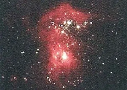 великий пес