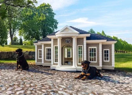 Будки-палаци для собак, вартістю до £ 170 000, вибухові новини рунета