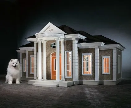 Будки-палаци для собак, вартістю до £ 170 000, вибухові новини рунета