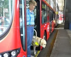Приватний автовокзал можуть відкрити в пермі - електронний квиток на автобус (автовокзал) Приватний автовокзал можуть відкрити в пермі - електронний квиток на автобус
