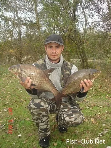 Чабби, Чабби, чаббік ... ще раз про кольорах jackall chubby 38 (місця відпочинку) Чабби, Чабби, чаббік ... ще раз про кольорах jackall chubby 38