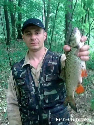 Чабби, Чабби, чаббік ... ще раз про кольорах jackall chubby 38 (фотогалерея) Чабби, Чабби, чаббік ... ще раз про кольорах jackall chubby 38