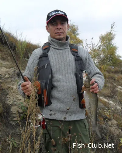 Чабби, Чабби, чаббік ... ще раз про кольорах jackall chubby 38 (кольорах) Чабби, Чабби, чаббік ... ще раз про кольорах jackall chubby 38
