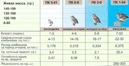 Чим годувати перепелів в домашніх умовах мій досвід годування (годувати) Чим годувати перепелів в домашніх умовах мій досвід годування