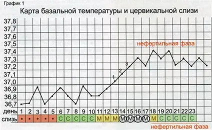 Цервікальний слиз по днях циклу, при овуляції (цервікальна) Цервікальний слиз по днях циклу, при овуляції