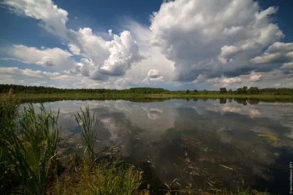 Canon eos 5d - магія повного кадру і її повне викриття (canon) Canon eos 5d - магія повного кадру і її повне викриття