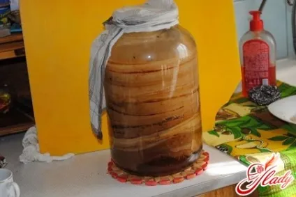 Чайний гриб догляд, розмноження і корисні властивості (корисні) Чайний гриб догляд, розмноження і корисні властивості
