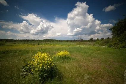 Canon eos 5d - магія повного кадру і її повне викриття (повного) Canon eos 5d - магія повного кадру і її повне викриття