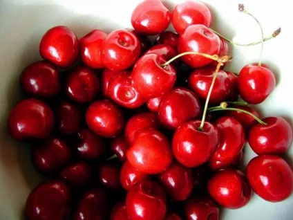 Чим не можна годувати собак головні заборонені продукти
