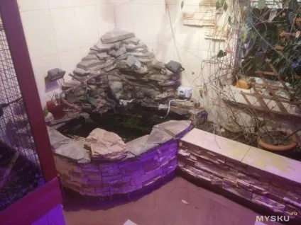 Бюджетний електромагнітний клапан для води 1 (води) Бюджетний електромагнітний клапан для води 1