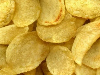 Чим не можна годувати собак головні заборонені продукти