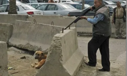 Дагестан в крові беззахисних