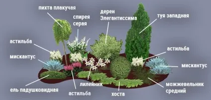 Моноклумба як організувати однотонний квітник, дизайн ділянки () (однотонний квітник) Моноклумба як організувати однотонний квітник, дизайн ділянки ()