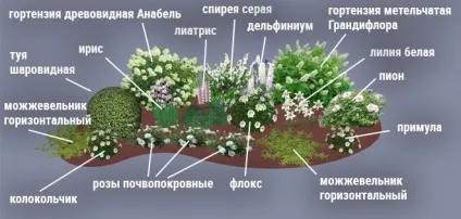 Моноклумба як організувати однотонний квітник, дизайн ділянки () (квітник) Моноклумба як організувати однотонний квітник, дизайн ділянки ()