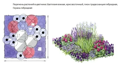Монохромні квітники для саду принципи створення догляд (клумба) Монохромні квітники для саду принципи створення догляд