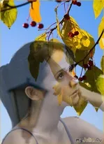 Чим старовинних наївність романсу культура - жіноча соціальна мережа (наївність) Чим старовинних наївність романсу культура - жіноча соціальна мережа