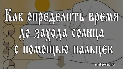 часникові стрілки