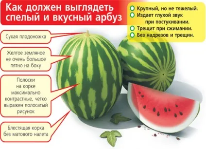 Чим корисний кавун - калорійність, протипоказання (протипоказання) Чим корисний кавун - калорійність, протипоказання