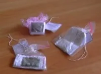 Що робити під час обшуку в квартирі (що робити під час обшуку в квартирі?) Що робити під час обшуку в квартирі