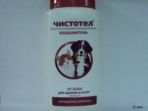 Чистотіл (шампунь від бліх і кліщів) для кішок і собак, відгуки про застосування препаратів для тварин (шампунь) Чистотіл (шампунь від бліх і кліщів) для кішок і собак, відгуки про застосування препаратів для тварин