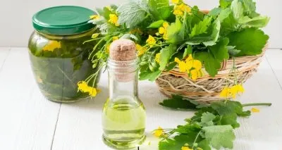 Чистотіл від лупи корисні властивості, плюси і мінуси використання, рецепти засобів і їх застосування (плюси) Чистотіл від лупи корисні властивості, плюси і мінуси використання, рецепти засобів і їх застосування