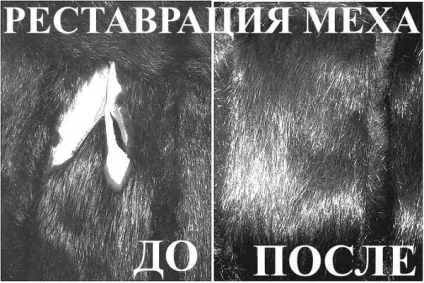Що робити, якщо шубу початку є моль як захистити шубу (є) Що робити, якщо шубу початку є моль як захистити шубу