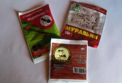 Що робити якщо в квартирі завелися мурахи (мурахи в квартирі) Що робити якщо в квартирі завелися мурахи
