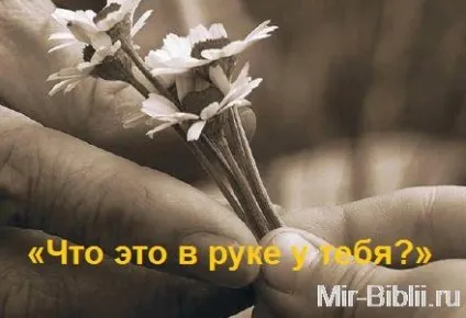 Що це в руці твоїй