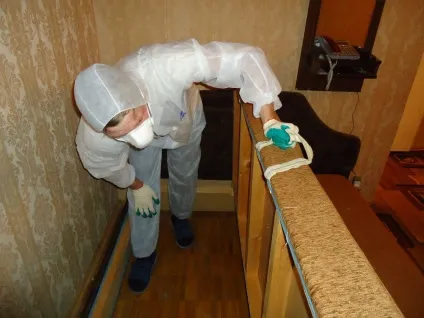 Що робити якщо в квартирі завелися мурахи (квартирі) Що робити якщо в квартирі завелися мурахи