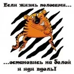 Що означають родимки на твоєму обличчі, така різна любов (номер анекдот афоризм) Що означають родимки на твоєму обличчі, така різна любов