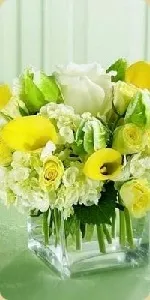 Квіти в лікарню - studio floristic (лікарні) Квіти в лікарню - studio floristic