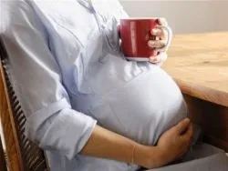 Цикорій і тиск знижує або підвищує, правильне вживання (підвищує) Цикорій і тиск знижує або підвищує, правильне вживання