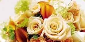 Квіти в лікарню - studio floristic (лікарні) Квіти в лікарню - studio floristic