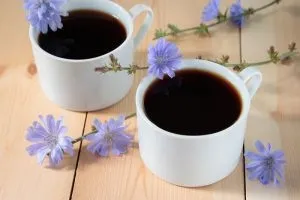Цикорій при тиску знижує або підвищує, шкода (цикорій) Цикорій при тиску знижує або підвищує, шкода