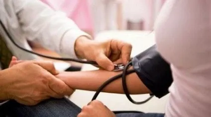 Цикорій підвищує або знижує тиск ... відповідаємо на важливе питання! (Цикорій) Цикорій підвищує або знижує тиск ... відповідаємо на важливе питання!
