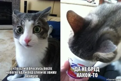Так що ти ляжеш робитимеш (афоризми популярні афоризми) Так що ти ляжеш робитимеш