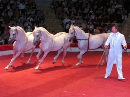 цирковий словник