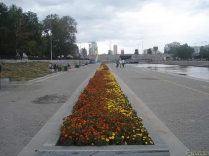 Квіти в Запоріжжі фотографії клумб, ekb-grad (квіти) Квіти в Запоріжжі фотографії клумб, ekb-grad