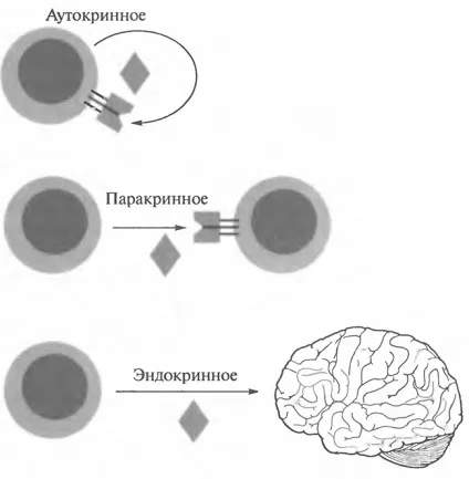 Цитокіни в імунології