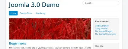 Демо-дані в joomla 3