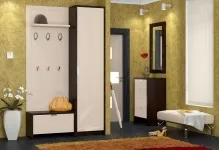 Дизайн маленької вузької передпокою в хрущовці фото інтер'єр квартири, ідеї ремонту кухні, стиль і (дизайн маленької вузької передпокою в хрущовці фото) Дизайн маленької вузької передпокою в хрущовці фото інтер'єр квартири, ідеї ремонту кухні, стиль і