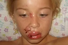 Домашні тварини в Англії - блог про життя в Англії (домашні тварини) Домашні тварини в Англії - блог про життя в Англії